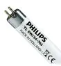 Philips T5 Short 8W - 765 Lumière du Jour | 29cm